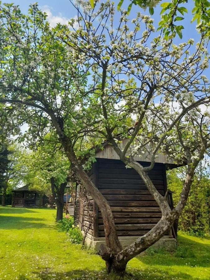 Agroturystyka Stokrotka Rymanów-Zdrój Exteriér fotografie