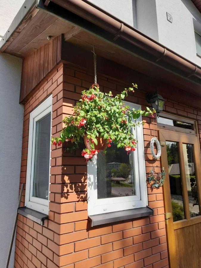 Agroturystyka Stokrotka Rymanów-Zdrój Exteriér fotografie
