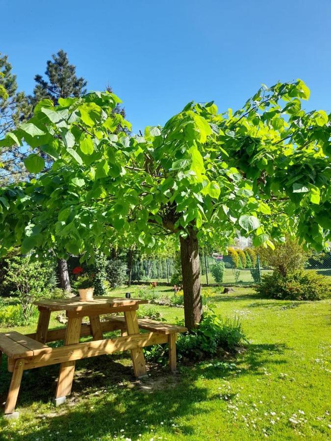 Agroturystyka Stokrotka Rymanów-Zdrój Exteriér fotografie