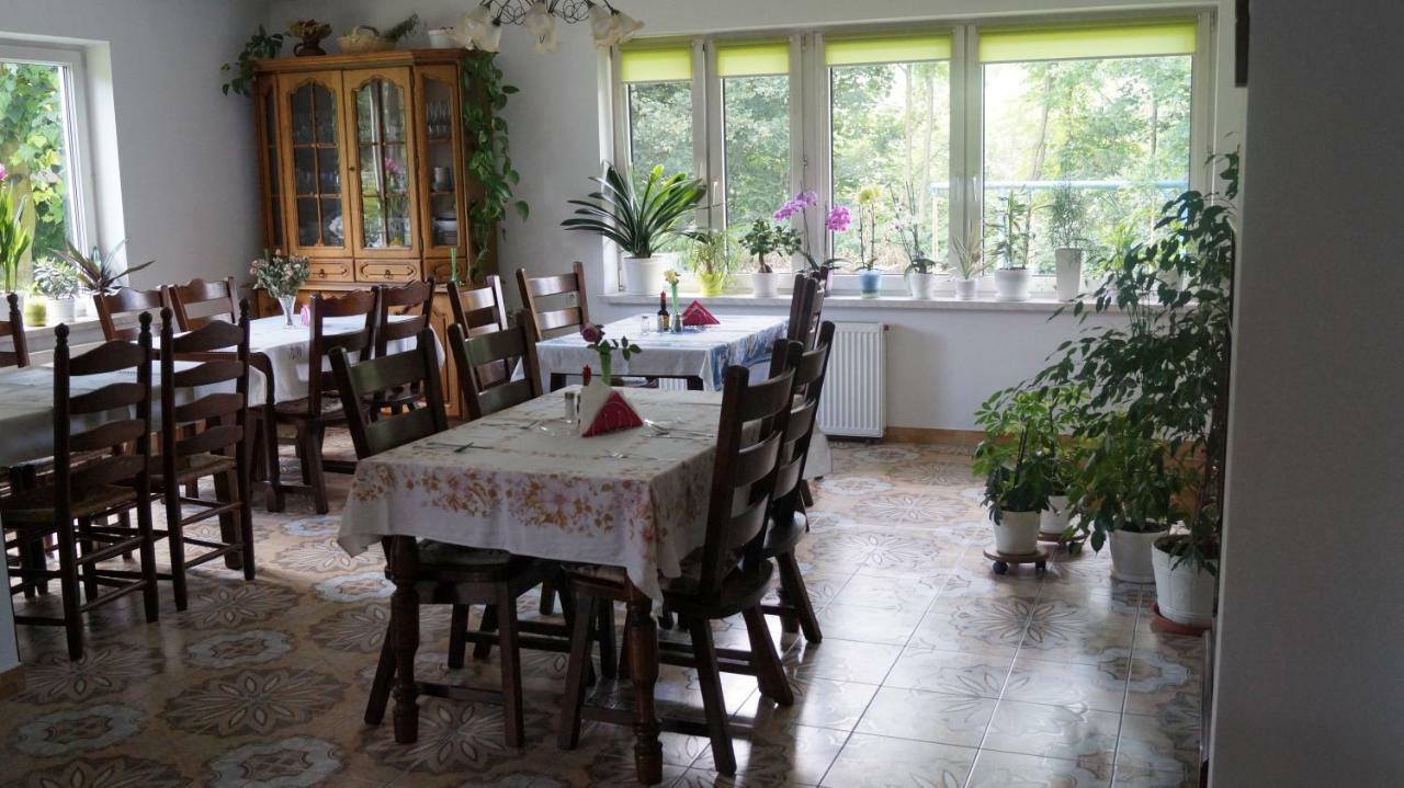 Agroturystyka Stokrotka Rymanów-Zdrój Exteriér fotografie